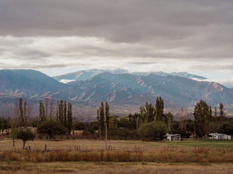 201- Luna de Cafayate